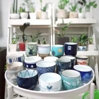 ราคา กระถางเซรามิกญี่ปุ่น กระถางต้นไม้ (4333528623)