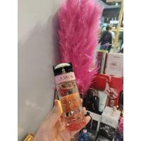 ราคา Prada Candy 100 ml EDP (3485896232)