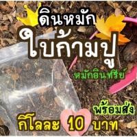 ราคา ดินหมักใบก้ามปูกิโลกรัมละ 10 ❗❗บาทหมักอินทรีย์หยาบผสม (22867270233)
