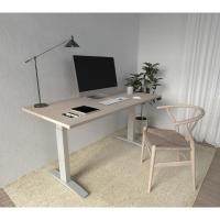 ราคา ProSpace โต๊ะทำงาน โต๊ะปรับระดับไฟฟ้าเพื่อสุขภาพ 120x75 cm ขา 3 stage รับประกัน 5 ปี (1979401776)