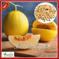 ราคา 20 เมล็ด เมล่อนญี่ปุ่นสีทอง เมล็ดเมล่อนญี่ปุ่นสีทอง เมล็ดเมล่อนญี่ปุ่น เมล่อนญี่ปุ่น (25814708289)