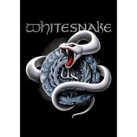 ราคา White Snake Rock & Roll Glam Alternative Punk ถังขยะ Hard Core Nu Heavy Metal Band 70s 80s 90s Retro Old School เสื้อยืด (43211752840)