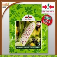 ราคา เมล็ดพันธุ์ ข้าวโพดข้าวเหนียว เหนียวหวานทับทิม F1 (200 กรัม) เมล็ดข้าวโพดหวานศรแดง เมล็ดพันธุ์ผักสวนครัว ตราศรแดง (17694726500)