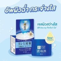 ราคา Hada Labo Whitening Perfect Gel 100g (6017302854)