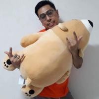 ราคา ตุ๊กตาหมีหลับ หมีขี้เซา 74,100,120 ซม. หมีนุ่มนิ่ม นิ่มสุดๆ ใยไมโครแท้ (910190921)