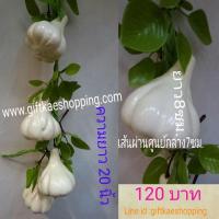 ราคา ผักปลอม โมเดลกระเทียม (2700509393)