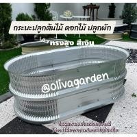 ราคา กระบะปลูกต้นไม้ แต่งสวนด้วยกระบะปลูก แปลงปลูกอเนกประสงค์ (27306539034)