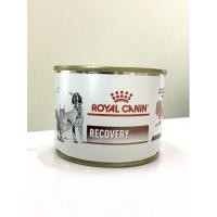 ราคา royal canin สูตร recovery สำหรับสัตว์ป่วย (10120980985)