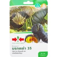 ราคา เมล็ดพันธ์ ฟักทอง มรกตดำ 35 ตราศรแดง (27854673193)