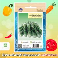 ราคา มะเขือไข่เต่าเขียว เจียไต๋ เมล็ดมะเขือ มะเขือเปราะ (913397727)