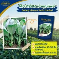 ราคา เมล็ดคะน้ายอด เจ้าคุณทิพย์ ขนาด500กรัม ตราเจียไต๋ เมล็ดพันธุ์คะน้ายอด เมล็ดผักสวนครัว เมล็ดพันธุ์คะน้า เมล็ดพันธุ์คะน้า (12712155185)