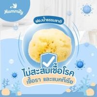 ราคา Mummily ฟองน้ำ SILK FINE ฟองน้ำธรรมชาติแท้100% ฟองน้ำอาบน้ำเด็ก (15598699328)