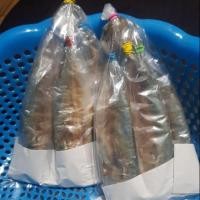 ราคา ปลาทูหอม / ปลาทูเค็ม / ทูหอมเค็ม (3940939207)