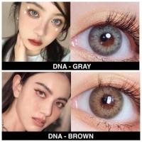 ราคา คอนแทคเลนส์ วิ้งค์ DNA Brown/Gray ( Dia:14.2 ) มีค่าสายตาและปกติ (22547534966)