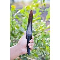 ราคา มีดคว้านมะพร้าวถอดเสื้อเเบบมีด้ามจับ 11นิ้ว เขาควายเเท้100% (22878064870)