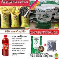 ราคา แบ่งขาย ปุ๋ยอินทรีย์ มูลไก่อัดเม็ด TPI อินทรีย์อัดเม็ด PSB จุลินทรีย์สังเคราะห์แสง มูลไส้เดือน (21246615202)