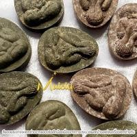 ราคา ของแท้ พระปิดตา หลวงพ่อคง รุ่น 9 มหามงคลชัย แช่น้ำมนต์ วัดตะคร้อ (24351437927)