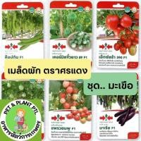 ราคา [ศรแดง][ชุดมะเขือ] ผักซองศรแดง เมล็ดพันธุ์ ผัก ศรแดง (20592774194)