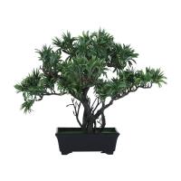 ราคา INDEX LIVING MALL สนบอนไซในกระถาง รุ่นบอนนี่ สูง 35 ซม. - สีเขียว/ดำ (26668613347)