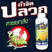 ราคา ยากำจัดปลวก คาโน่ ตัวเดียวกับ แมส แอสเซนด์ 1 ลิตร สาร ฟิโพรนิล กำจัดปลวก หนอนใบขาว แมลงมอด ตายยกรัง เพลี้ยไฟ (27611017770)