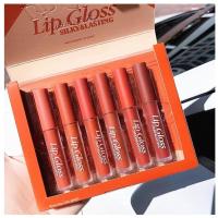 ราคา SET ลิปกลอส silky&lasting โทนส้มอิฐ สวยปัง 6 แท่ง สุดคุ้ม (8708145416)
