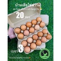 ราคา ไข่ไก่ เลี้ยงเองปลอดสารพิษ เบอร์3 20ฟอง สดใหม่จากฟาร์มวันต่อวัน (28955198034)