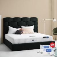 ราคา SB Design Square ที่นอน Lotus รุ่น Castle ขนาด 5 ฟุต แถมฟรีหมอนหนุน 2 ใบ (24907984180)