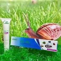 ราคา Ella scar cream 20 g เอลล่าสรีม ครีมลดริ้วรอย ครีมบำรุงผิว ครีมลดรอยแผลเป็น ลดรอยสิว รอยดำ รอยแดง เมือกหอยทาก (1242561608)