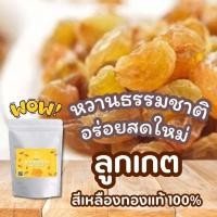 ราคา ลูกเกดสีเหลืองทอง พรีเมี่ยม เม็ดใหญ่ จัมโบ้ พร้อมทาน เกรด AA+ ลูกเกดเหลือง สินค้านำเข้า คุณภาพดี สดใหม่ แม่เฒ่าเอียด (41553805008)