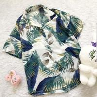 ราคา เสื้อฮาวายแบบในรูปใส่ครั้งเดียวค่ะ เชียงใหม่นัดรับได้ค่ะ (419909817)