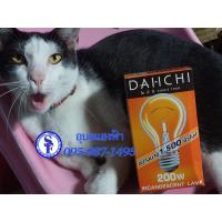 ราคา หลอดไฟ 200W ขั้วเกลียว E27 หลอดใส DAIICHI INCANDESCENT LAMP หลอดจุดไส้ (6448296338)