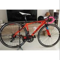 ราคา จักรยานเสือหมอบ Infinite sora 18 speed size 41.5 (1293095300)