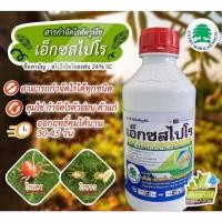 ราคา สไปโรไดโคลเฟน 24% W/V SC เอ็กซสไปโร (1ลิตร) สารกำจัดไรศัตรูพืช (26187118044)