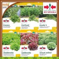 ราคา เมล็ดพันธุ์ผัก กลุ่มผักใบ ผักสลัด (แบบซอง) ผักชีสายสมร ขึ้นฉ่าย ผักบุ้งจีน ผักกาดหอม เมล็ดพันธุ์ผักสวนครัว ตราศรแดง (7923967042)