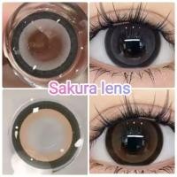 ราคา คอนแทคเลนส์ รุ่น Sakura/Edge สีเทา/ตาล Gray/Brown มีค่าสายตา (0.00) (26927031242)