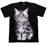 ราคา เสื้อยืดสกรีนเรืองแสง HD141 (21969502570)