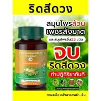 ราคา ( ของแท้100% ) เพชรสังฆาต ริดสีดวง สมุนไพรเพชรสังฆาต Hemorrhoids อัคคีทวาร สมุนไพร ริดสีดวง (26659025455)