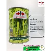 ราคา พริกหนุ่มขาว หยกขาว 31 (1384298916)