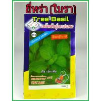 ราคา เมล็ดพันธุ์ ยี่หร่า ใบรา tree basil กลิ่นหอม รสเผ็ด ดูแลน้อย ต้นแข็งแรง ปลูกง่าย น้ำหนักดี ผลผลิตสูง ทนโรค ผักสวนครัว (7336448953)