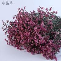 ราคา 【หญ้าคริสตัลพื้นฐานหญ้าคริสตัลสีสดสามารถทำเป็นดอกไม้แห้งตกแต่งภายในดอกไม้การจัดดอกไม้สดตัดดอกไม้สด (42852496583)