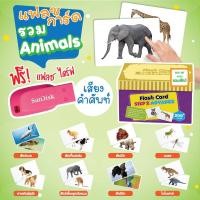 ราคา แฟลชการ์ดรวมหมวดสัตว์ ฟรี+ ไฟล์เสียง Flashcard Step2 Animal Set (5837080470)
