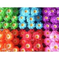 ราคา ดอกบัวสวรรค์เหรียญโปรยทาน (17822678707)