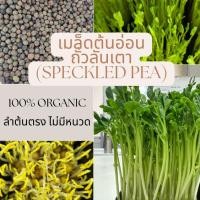 ราคา เมล็ดต้นอ่อนถั่วลันเตา โต้วเหมี่ยว (Speckled Pea) 500 กรัม (29230246266)
