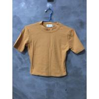 ราคา เสื้อครอปแขนสั้นสีเหลืองมัสตาร์ด (4387341154)