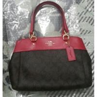 ราคา กระเป๋าทรงพราด้าสีน่ารัก (1860215786)