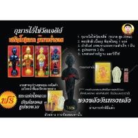 ราคา กุมารไอ้ไข่วัดเจดีย์ ขนาดตั้งบูชา สูง 28ซม.รับฟรี!!ธูปขอหวย และผ้ายันต์ไอ้ไข่ (7992260612)