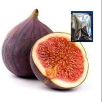 ราคา เมล็ดมะเดื่อฝรั่ง - Turkey Fig Fruit (2552730343)