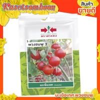 ราคา มะเขือเทศพวงชมพู 2 ( 10 แถม 1 ) บรรจุ 20 เมล็ด/ซอง ขนาด 10 บาท ตรา ศรแดง (8948955193)