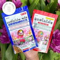 ราคา ออสโมโค้ท 13-13-13 100 กรัม ออสโมโค้ท 12-25-6 (10237138580)