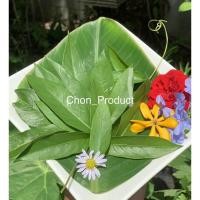 ราคา ใบกระพังโหม ใบพาโหม ใบตดหมูตดหมา ใบสด บรรจุ 30 ใบ (18851420814)